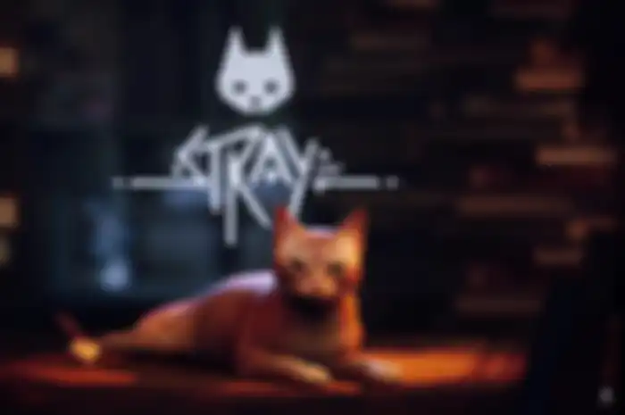 Donasi game Stray sukses membantu banyak kucing jalanan di dunia nyata.