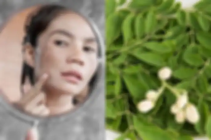 Tips hidup hilangkan bekas jerawat dengan daun kelor