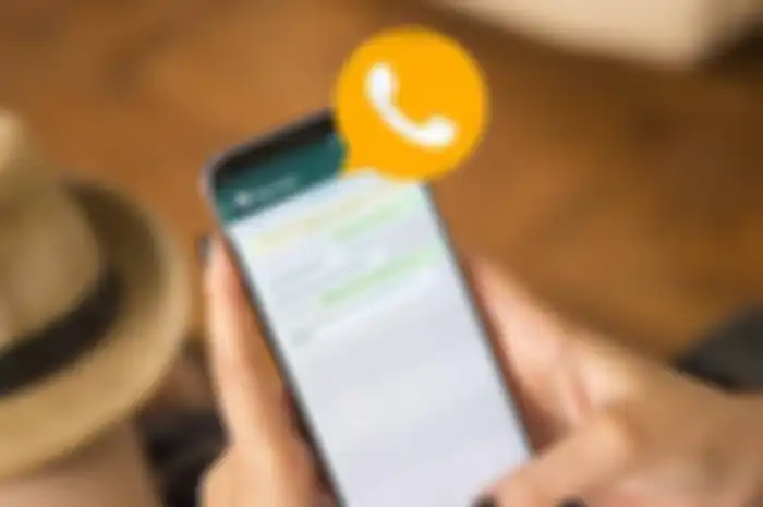 Ilustrasi menggunakan Aplikasi WhatsApp Gold