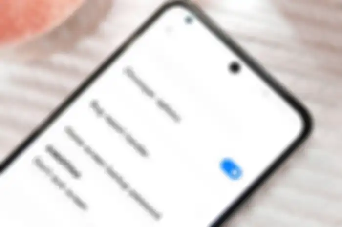 Tampilan Opsi developer di hp Xiaomi yang bisa membuat hp lebih ngebut. 