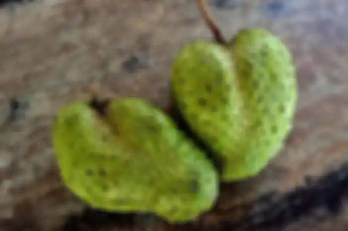 Khasiat dari buah sirsak.