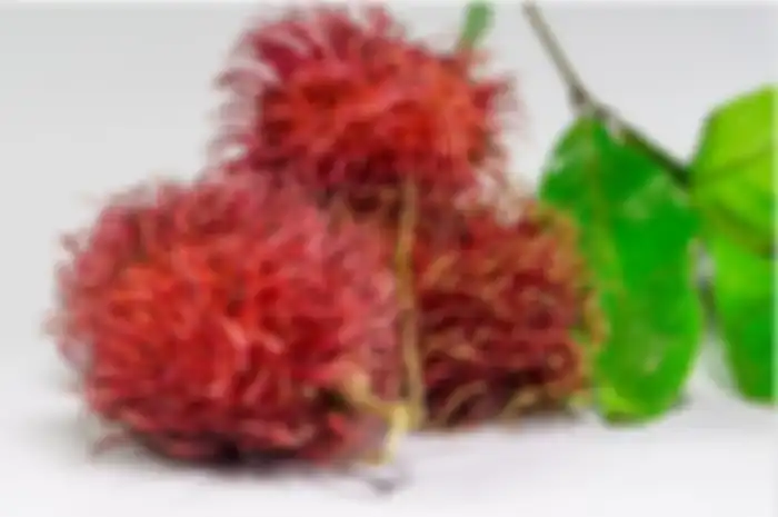 Ilustrasi buah rambutan.