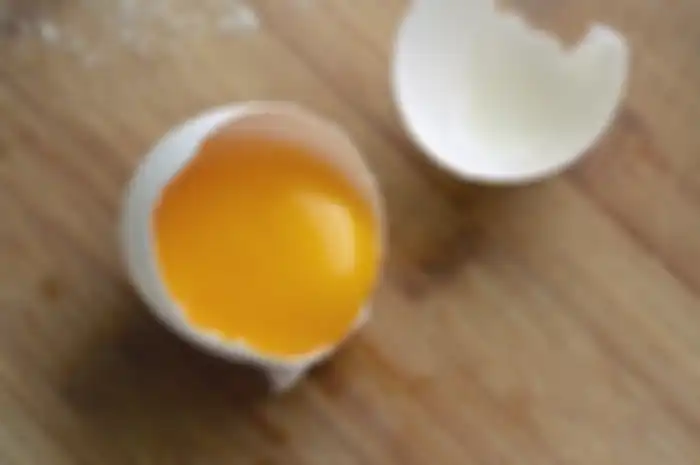 Ilustrasi kuning telur.