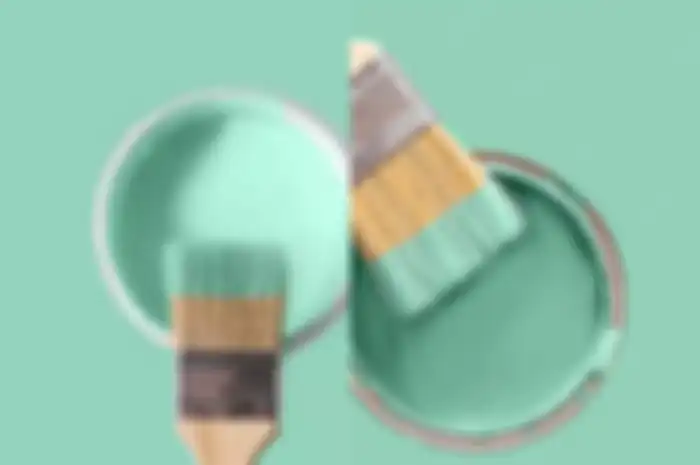 Tak Kalah Populer dengan Warna Hijau Sage,ini Arti Warna Hijau Mint dan Padu Padan Warna yang Cocok