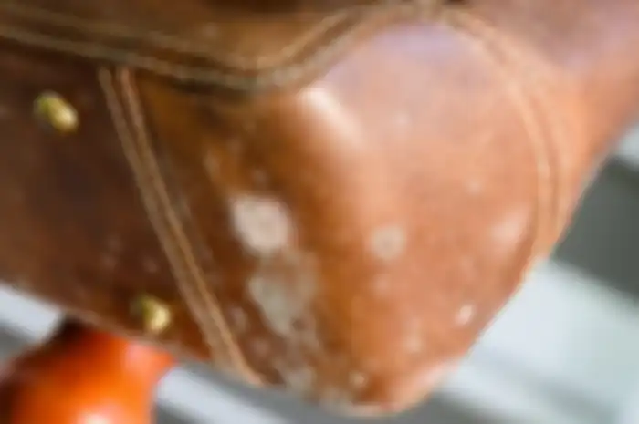 Begini tips merawat tas dan sepatu kulit agar lebih awet