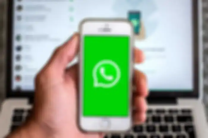 Ilustrasi WhatsApp untuk iOS, khususnya iOS 16 yang kini menghadirkan fitur pendeteksi teks. 