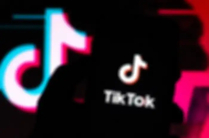 Ilustrasi TikTok