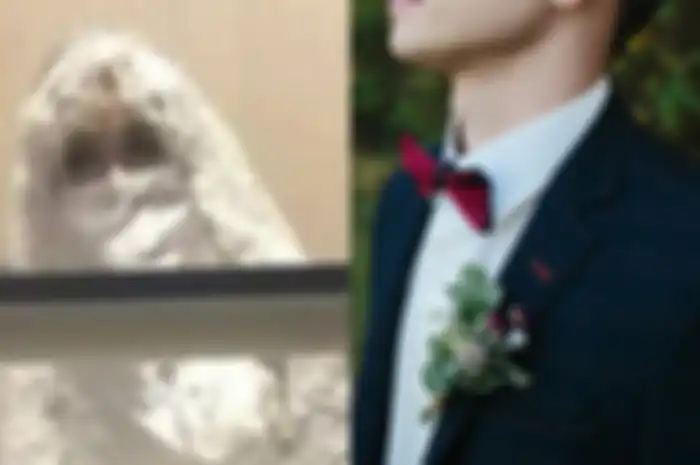 pengantin pria syok lihat wajah asli istrinya yang dikenal secara online