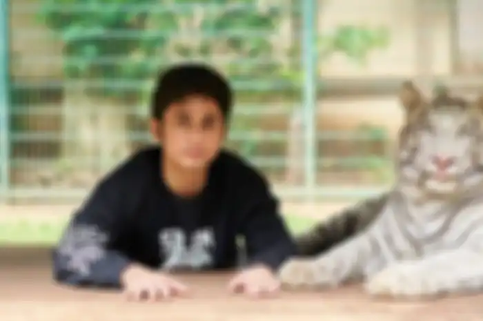 Harta Kekayaan Alshad Ahmad