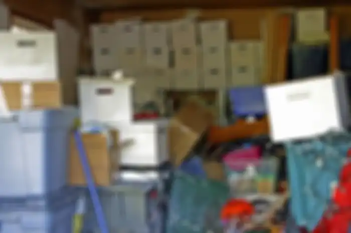 Hoarding disorder