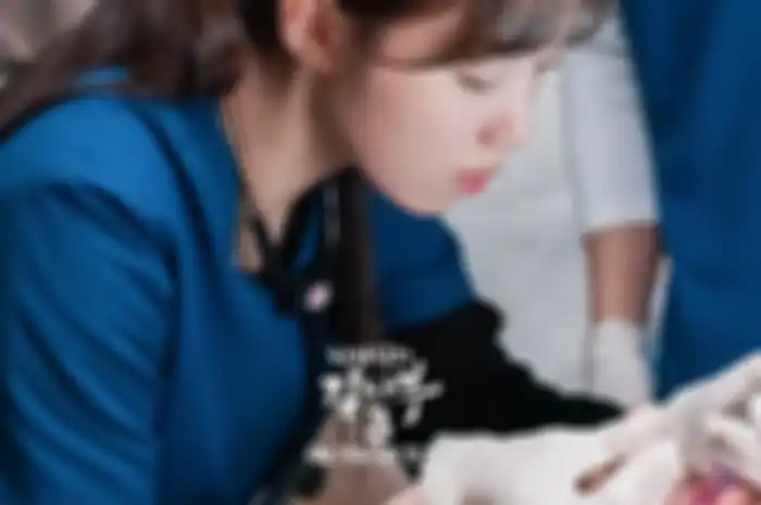 drama Korea Dr. Romantic 3