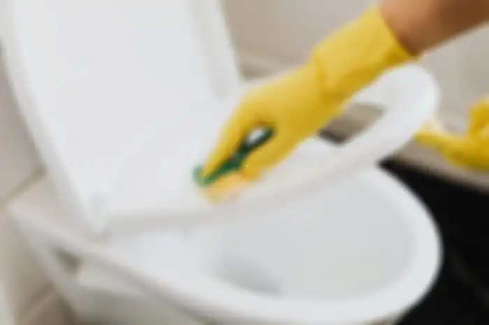 5 Cara Mengatasi Kloset Mampet Tanpa Alat Penyedot WC