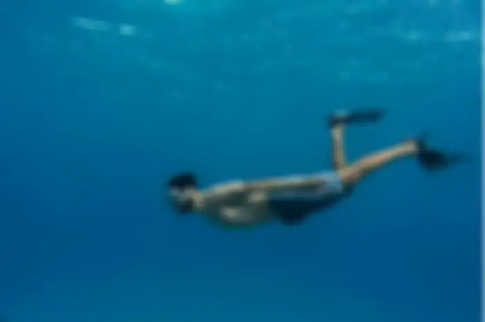 ilustrasi diving