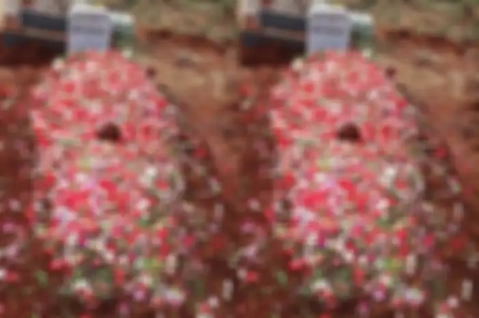 Makam Arief Rivan
