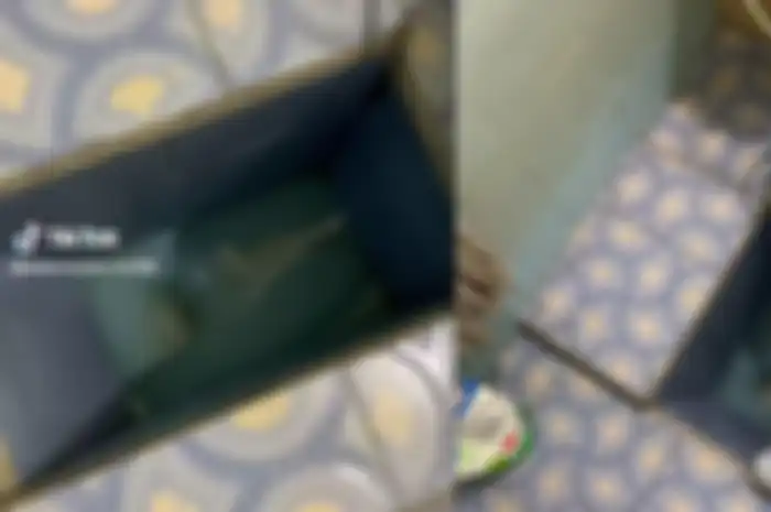 Desain WC jongkok dalam video tersebut memang agak lain dan cenderung aneh 