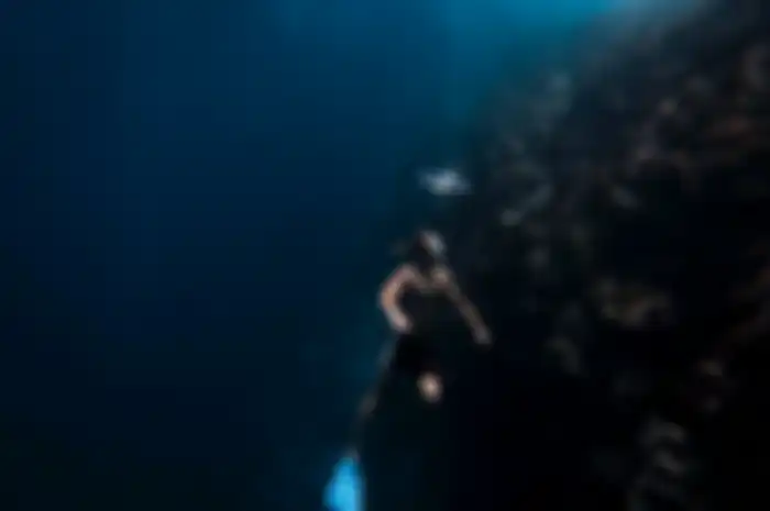 Ilustrasi freediving