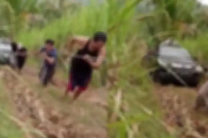 Mobil Google Maps nyasar di ladang.