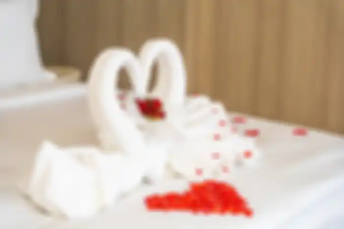 ilustrasi honeymoon