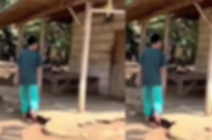 Viral seorang pria membeli rumah hanya seharga Rp10 juta.