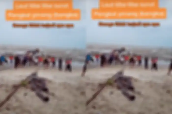 Viral di TikTok fenomena air laut tiba-tiba surut.