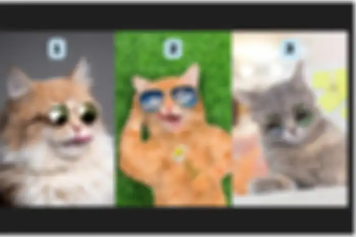 Pilih salah satu dari tiga gambar kucing berkacamata