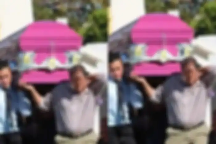 Peti mati warna pink mengikuti trend Barbie viral