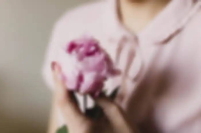 Bunga peony, salah satu jenis bunga untuk hadiah ulang tahun yang penuh makna.
