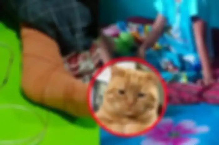 Nabila Febrianti, siswi SD yang kakinya diamputasi setelah menyelamatkan seekor kucing.
