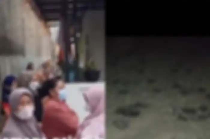 Bau bangkai kelelawar menggegerkan warga Tangerang