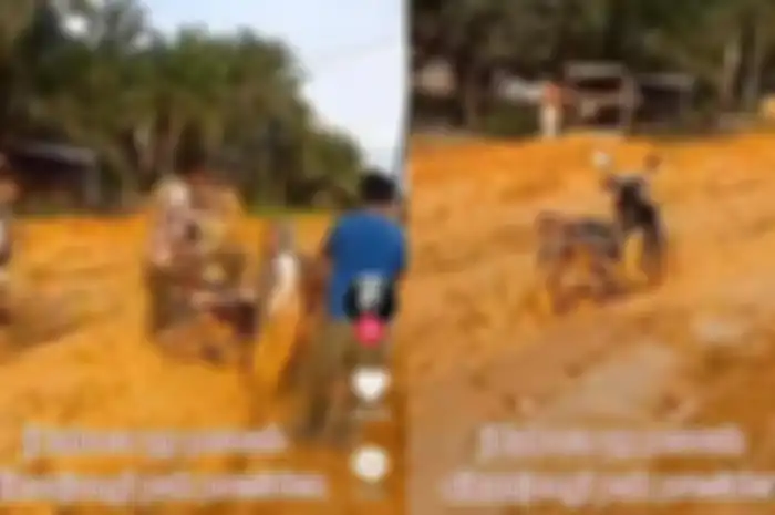 Potret terbaru Jalan Labura terlihat masih rusak banyak masih dipenuhi lumpur. 