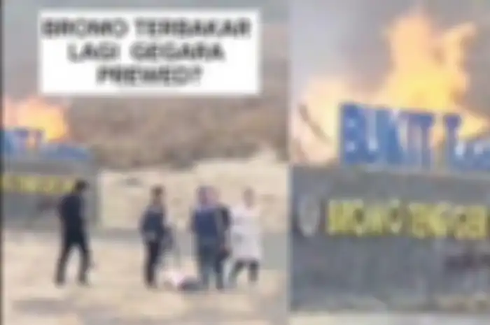 Bukit Teletubbies di kawasan Taman Nasional Bromo Tengger Semeru terbakar