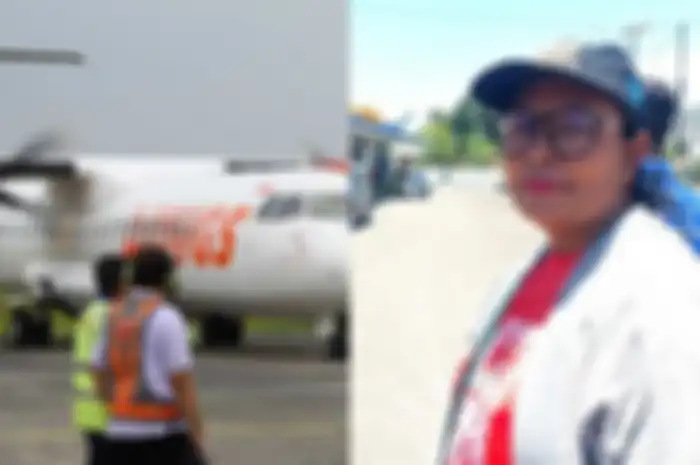 Ilustrasi pesawat Wings Air/ Noben da Silva (penumpang)