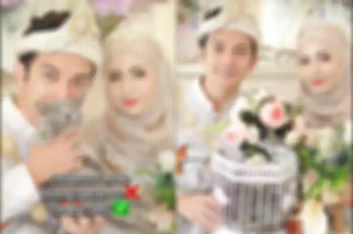 Viral di TikTok pria beri hantaran berupa kucing British Shorthair.