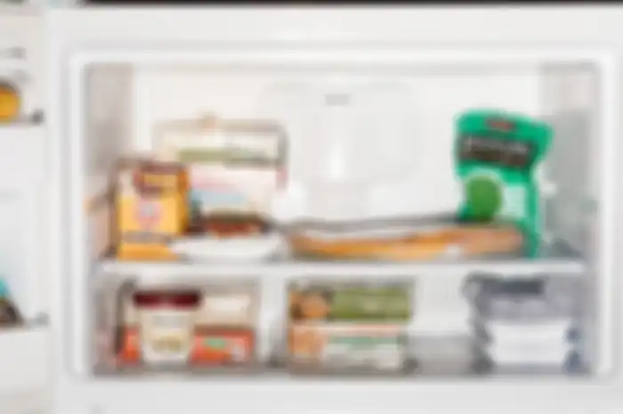 Makanan dalam freezer