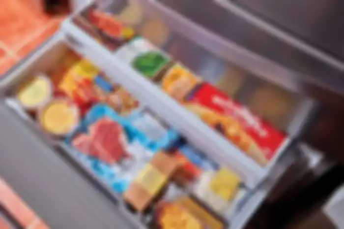 Makanan dalam freezer