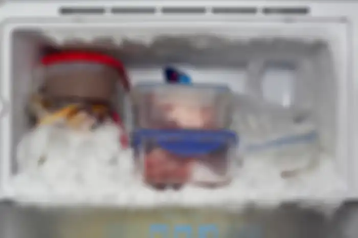 Freezer dengan bunga es