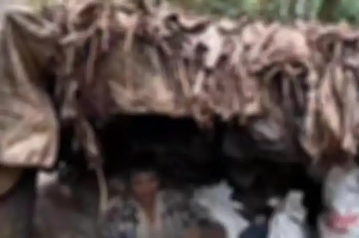 Viral Kisah Mbah Ngatiman 10 Tahun Hidup Sendiri di Tengah Hutan dalam Gubuk Reyot.