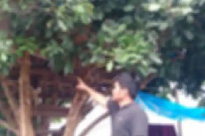 Rumah pohon tempat ABG 14 tahun di Nunukan Kaltara disetubuhi kekasihnya yang berusia 16 tahun.