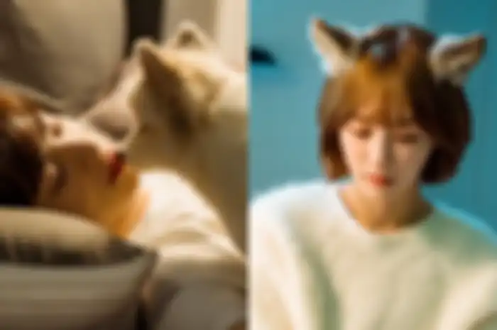 Drama Korea A Good Day to Be a Dog