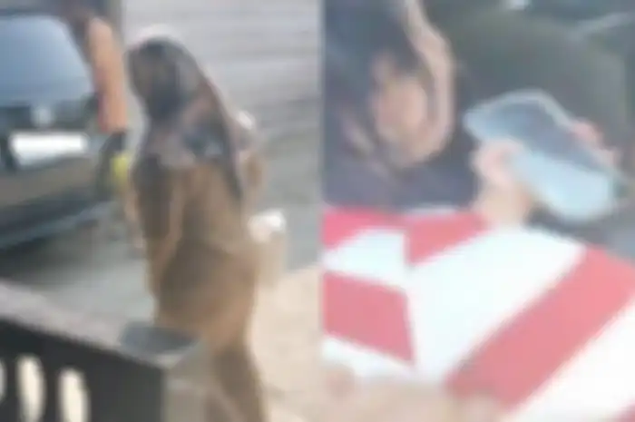 Terungkap peristiwa video viral di media sosial soal oknum ASN guru yang diduga selingkuh dengan suami orang di Kabupaten Konawe, Sulawesi Tenggara.