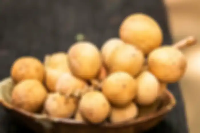 Ilustrasi buah duku