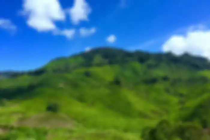 Ilustrasi bukit