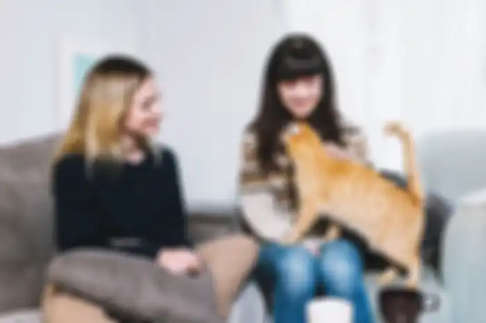 Ide hadiah untuk sahabat pecinta kucing.