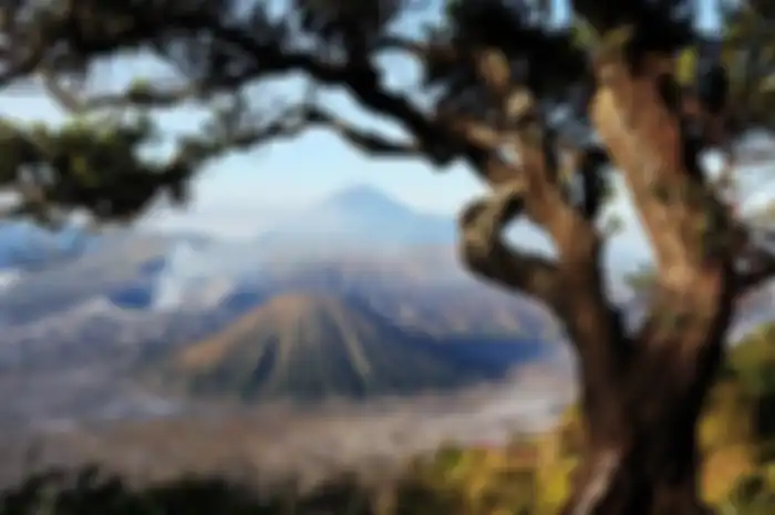 Quotes tentang Gunung Bromo.