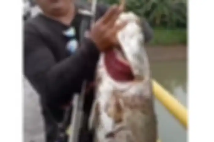 Eko berhasil dapatkan ikan kakap putih besar