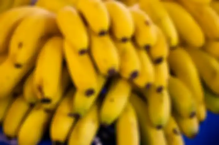 Ilustrasi pisang