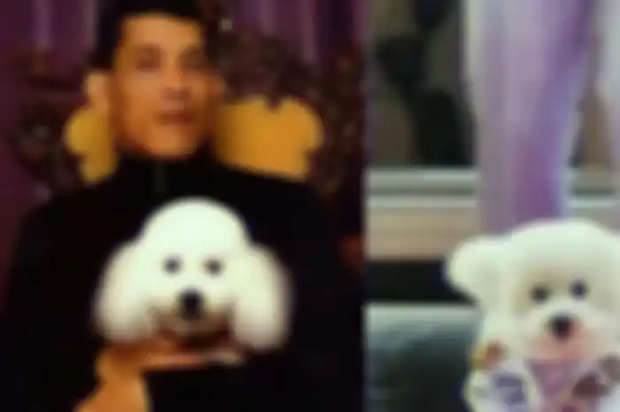 Raja Thailand rogoh kocek Rp 31 miliar demi kremasi anjing kesayangan yang meninggal.