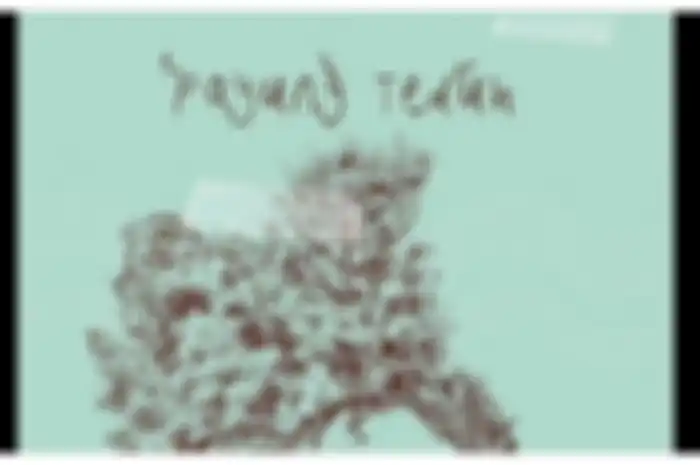 Quotes bijak dari lagu-lagu Payung Teduh