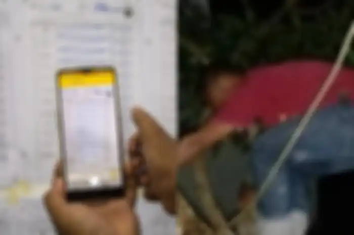 Anggota KPPS naik ke pohon untuk mencari sinyal demi mengunggah hasil penghitungan suara ke aplikasi Sirekap.
