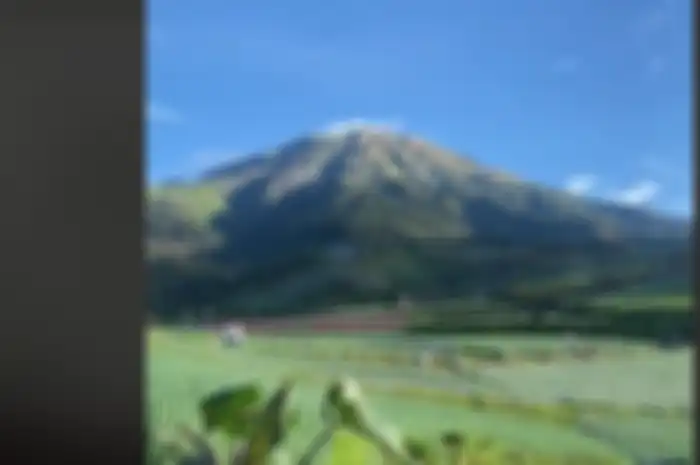Toliet dengan pemandangan indah di Magelang yang viral di TikTok 